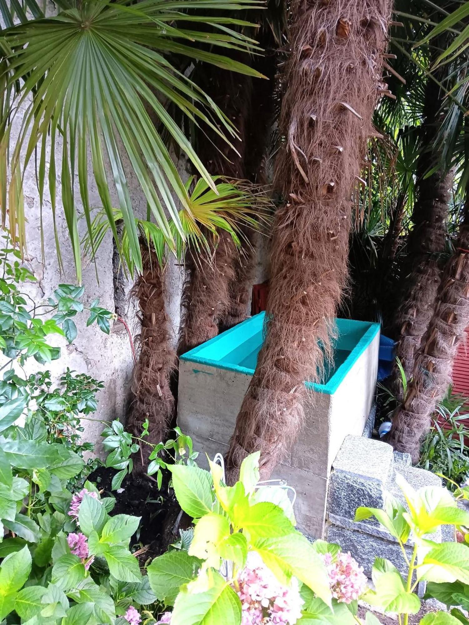 Dongio Casa Belgeri - Bed & Breakfast מראה חיצוני תמונה